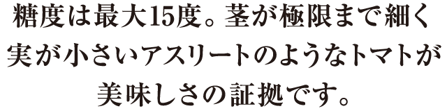 糖度は最大15度。茎が極限まで細く身が小さいアスリートの様なトマトが美味しさの証拠です