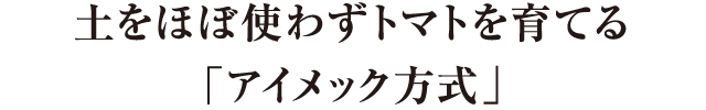 土をほぼ使わずトマトを育てるアイメック方式