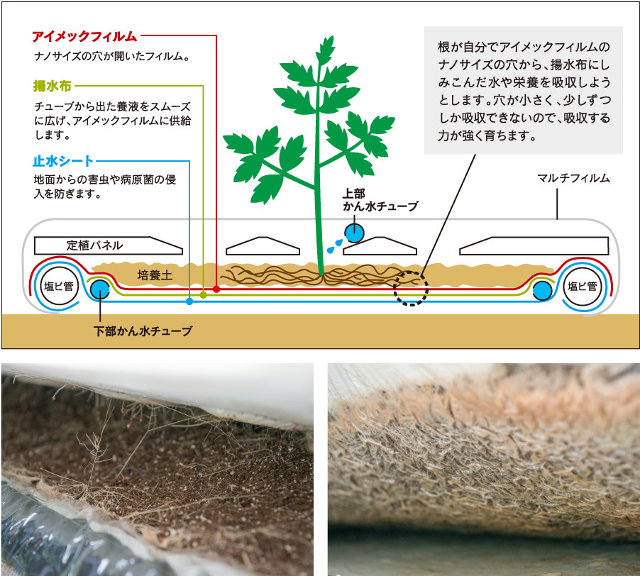 アイメック方式の画像