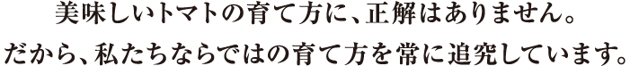 美味しいトマトの育て方に正解はありません。だから私たちならではの育て方を追求しています