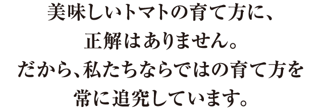 美味しいトマトの育て方に正解はありません。だから私たちならではの育て方を追求しています